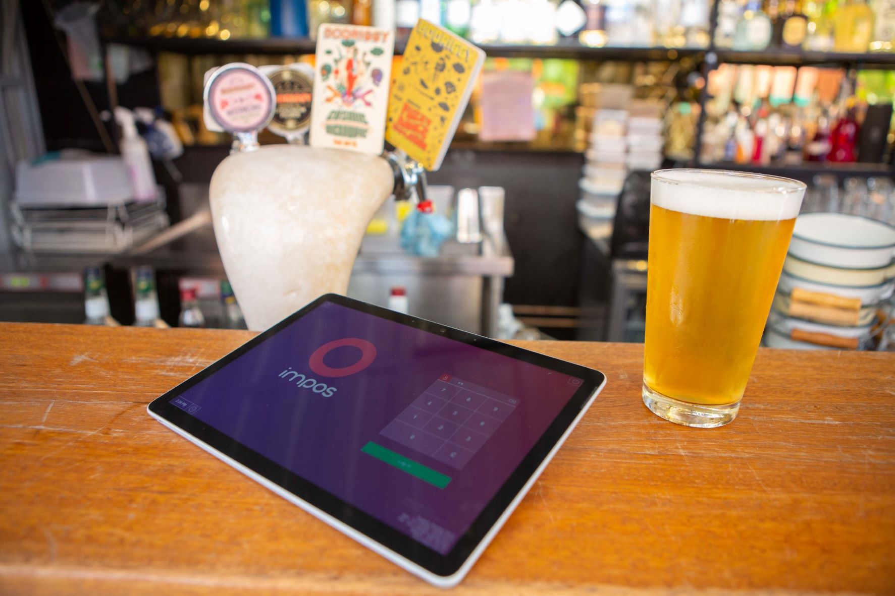 Beyond the palms resized